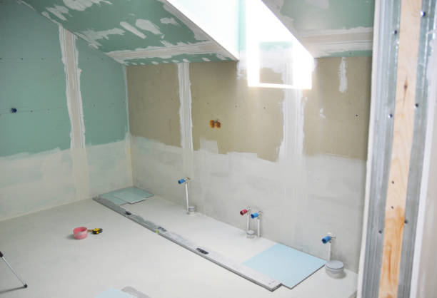 Best Attic Mold Removal  in USA